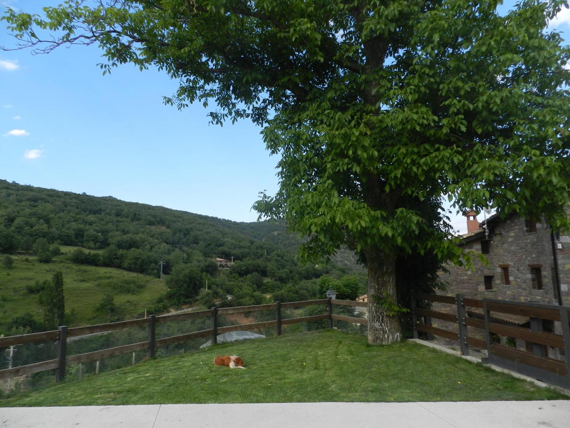 Apartaments El Tossalet Bonansa Esterno foto